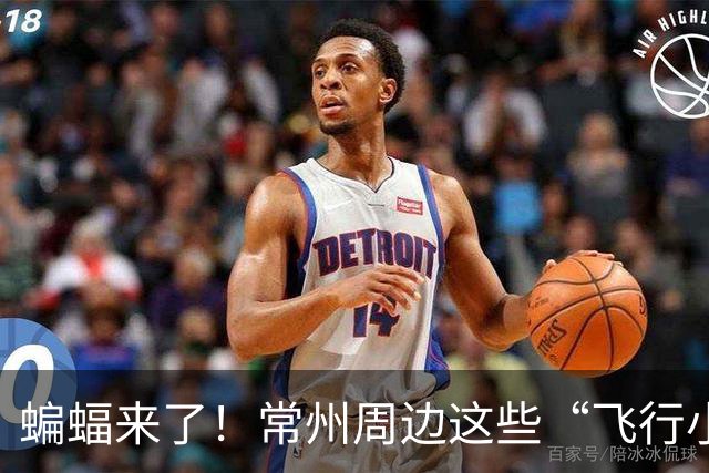 蝙蝠来了！常州周边这些“飞行小精灵”可得小心了